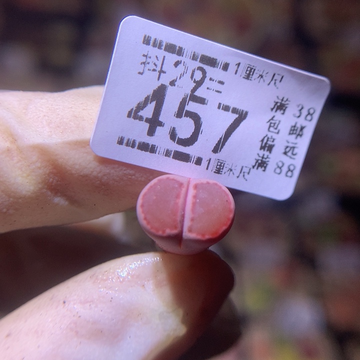 精品生生花29.457高特