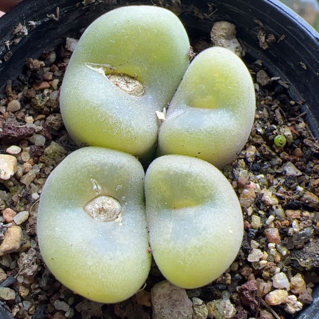 大家过年好22479