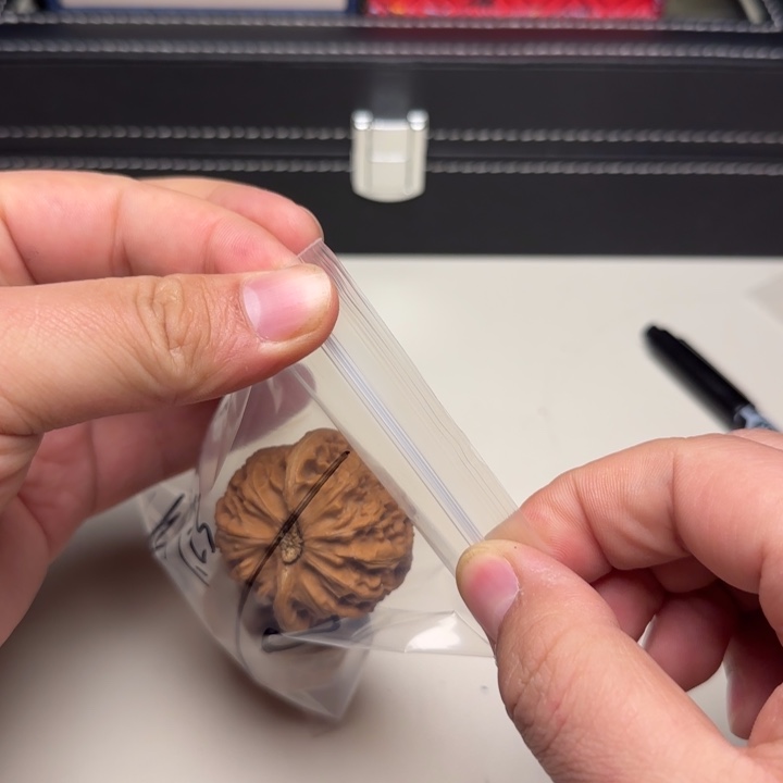 秋***往大叶紫檀（黑酸枝木类）