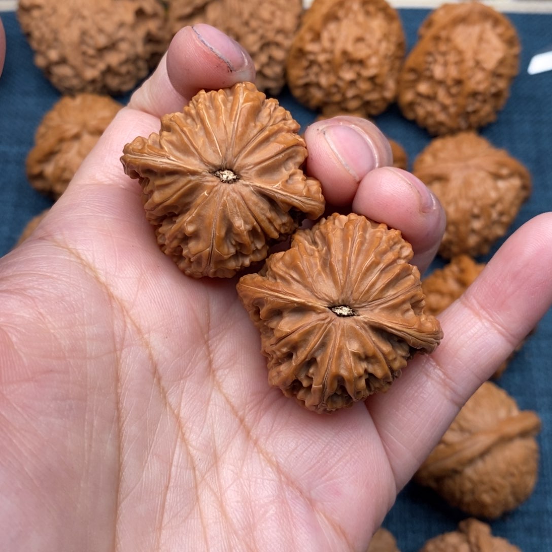 文玩核桃把件36精品山地正磨全品