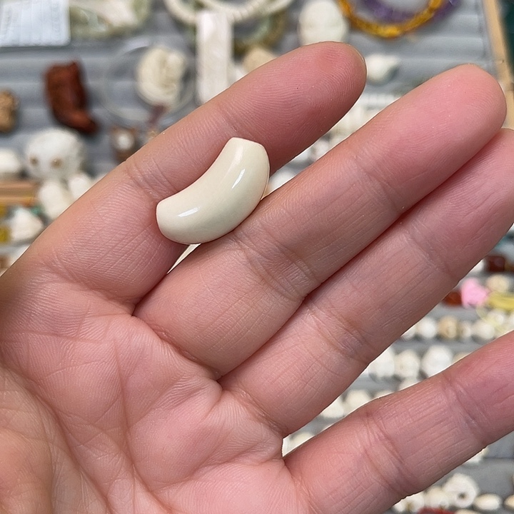 猛犸象牙其他弯弯