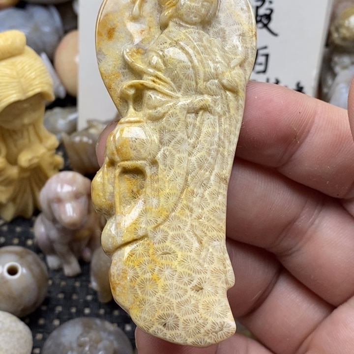 硅化珊瑚（珊瑚玉）未镶嵌颈饰