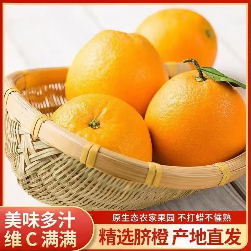 湖南石门纽荷尔脐橙当季新鲜甜橙子，纽荷尔脐橙五斤包邮