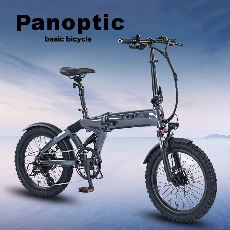 20寸铝合金折叠车