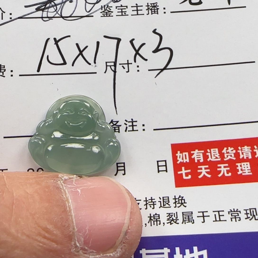 翡翠未镶嵌颈饰8997799987