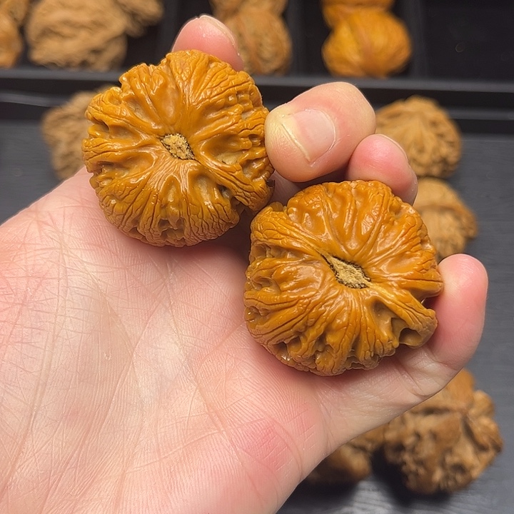 核桃秦岭山脉中段怒江与澜沧江