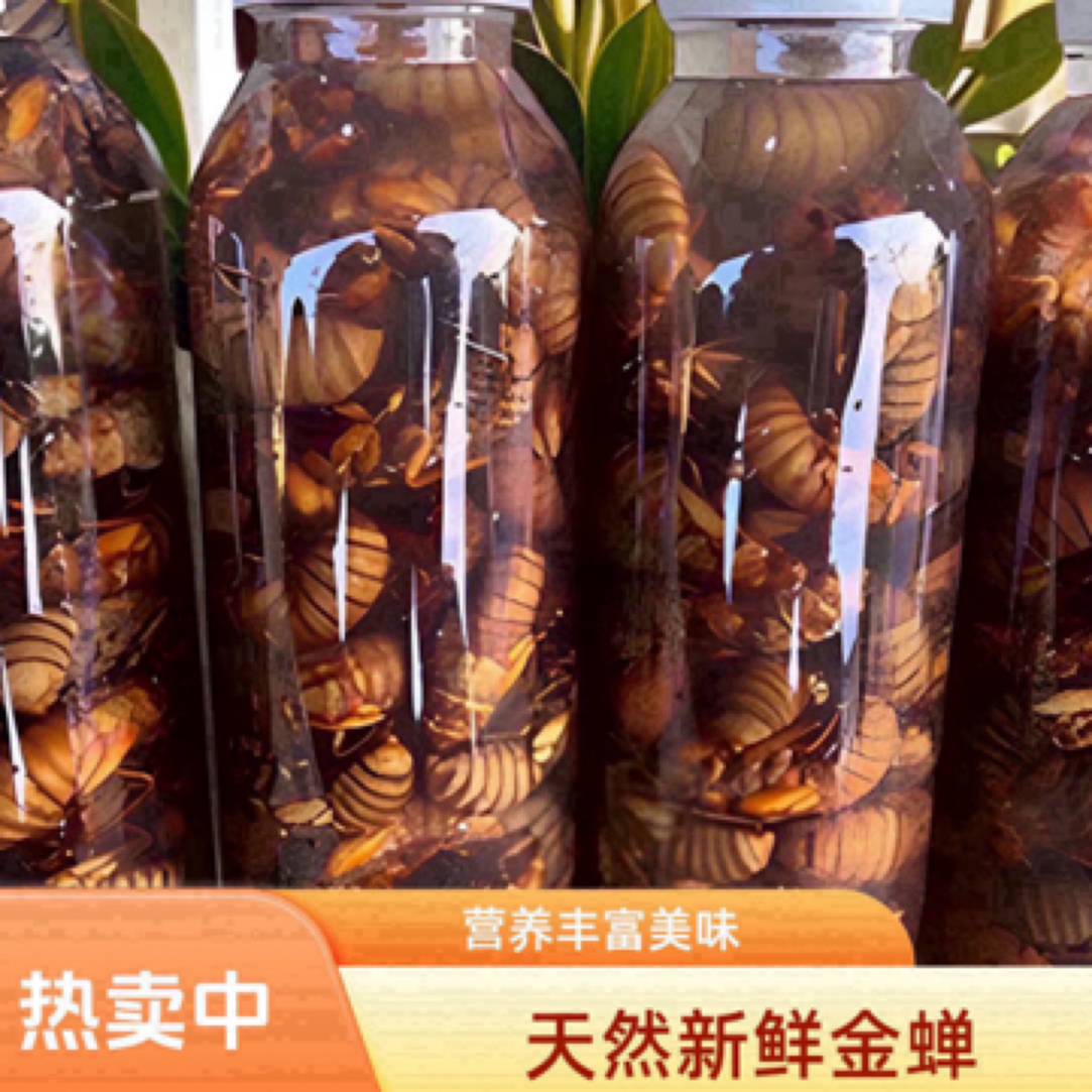 聚划算）2025新鲜野生金蝉 知了猴 蝉蛹 2瓶100只顺丰包邮 油炸