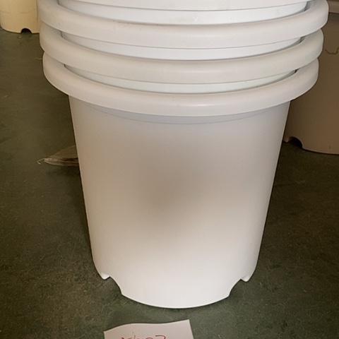 树脂清***兰编号编号5003