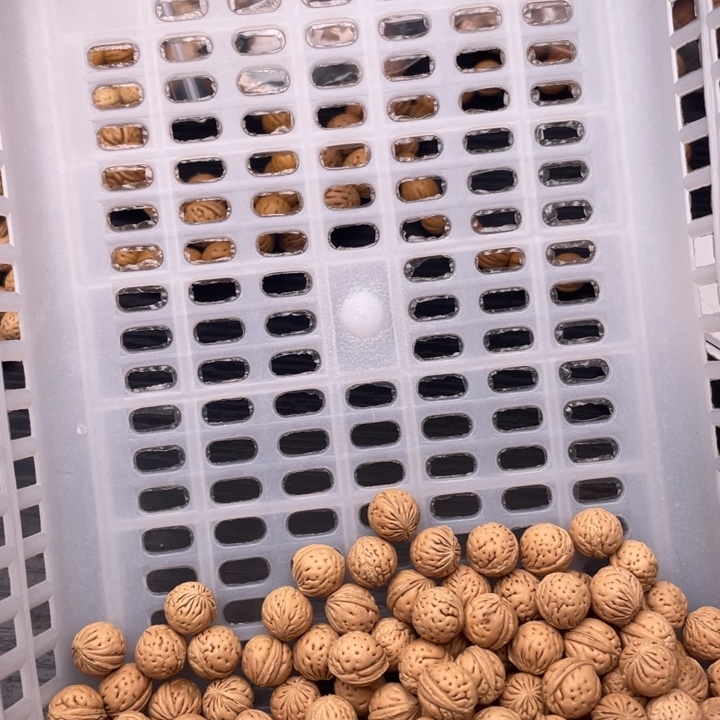 散发小桃核150元优惠活动