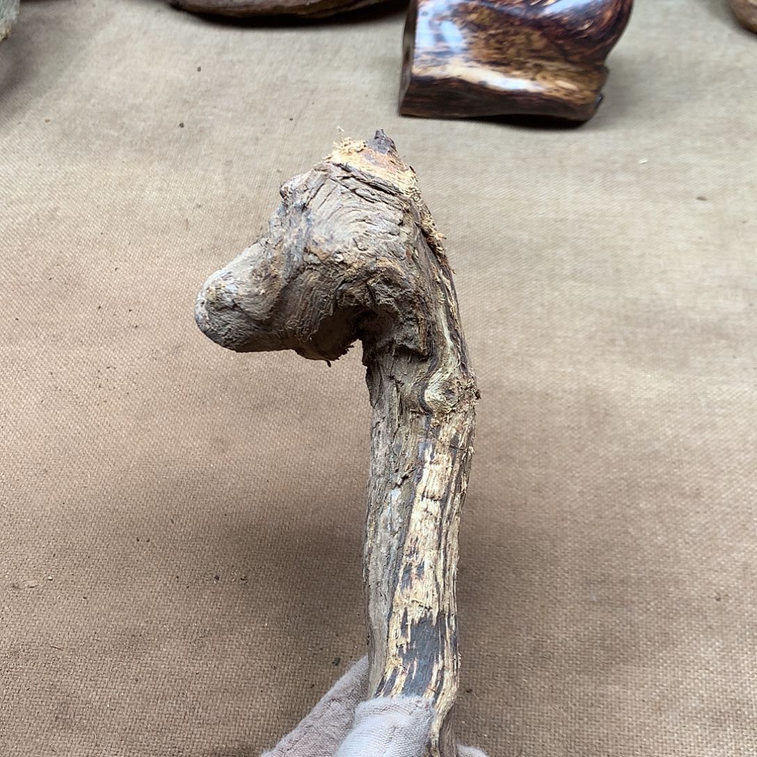 石***人黄花梨/降香黄檀原材料品香料