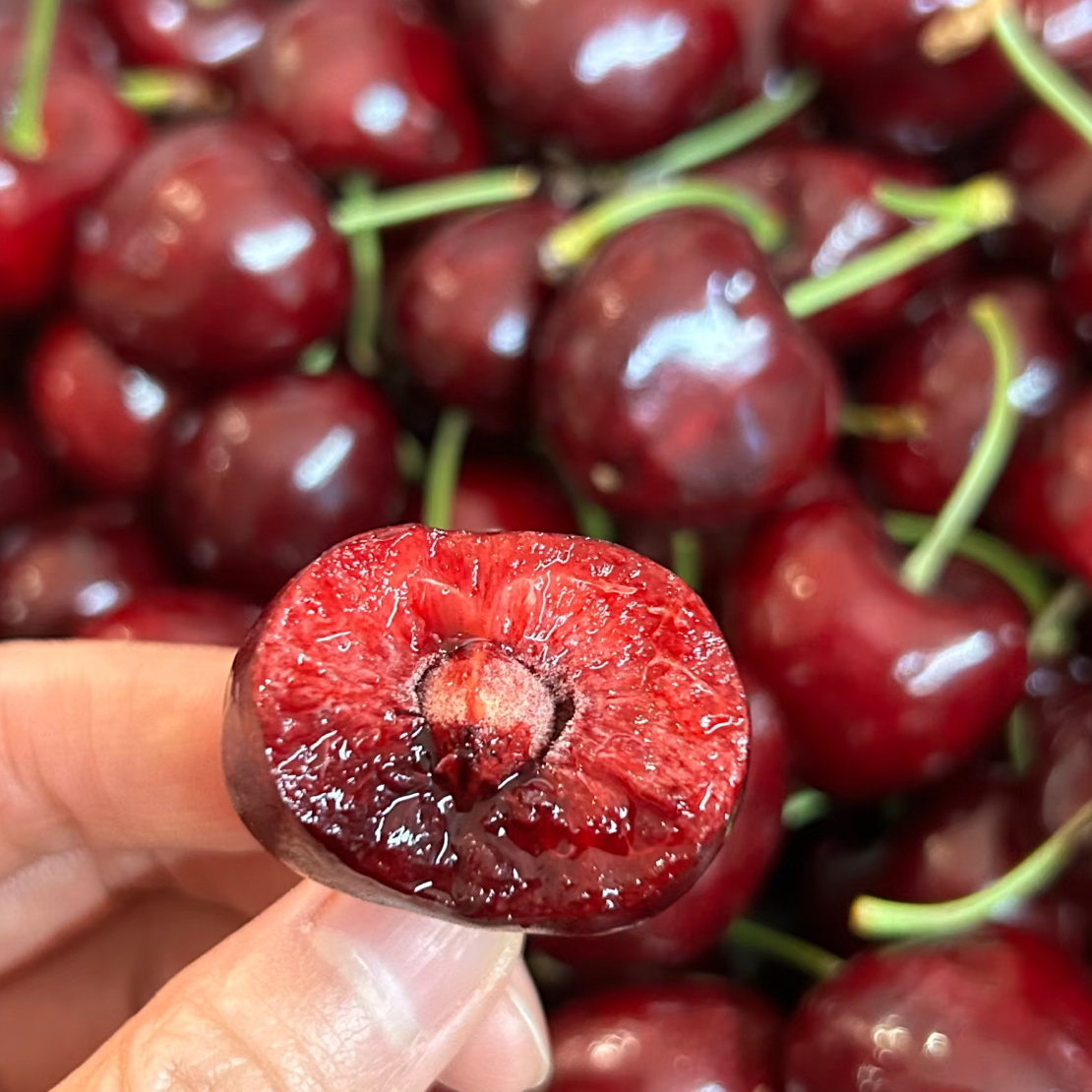 【东胜山姆同城】尝鲜价海运桑提娜 3J-250g车厘子