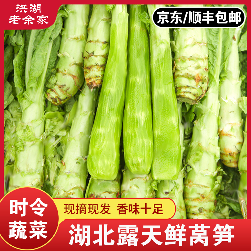 湖北洪湖新鲜莴笋农家自种蔬菜绿心凤尾包邮特产现摘现发莴苣新鲜