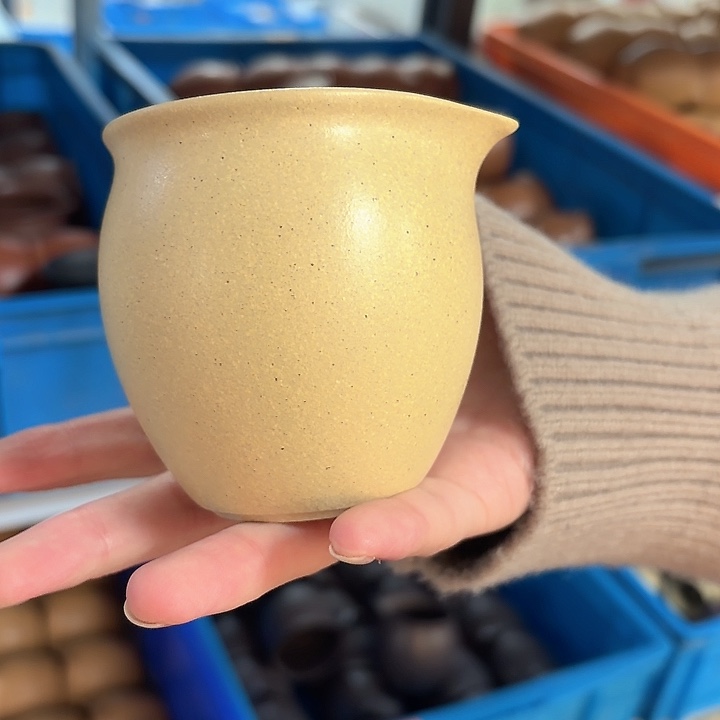 茶壶紫砂宜兴原矿梨皮