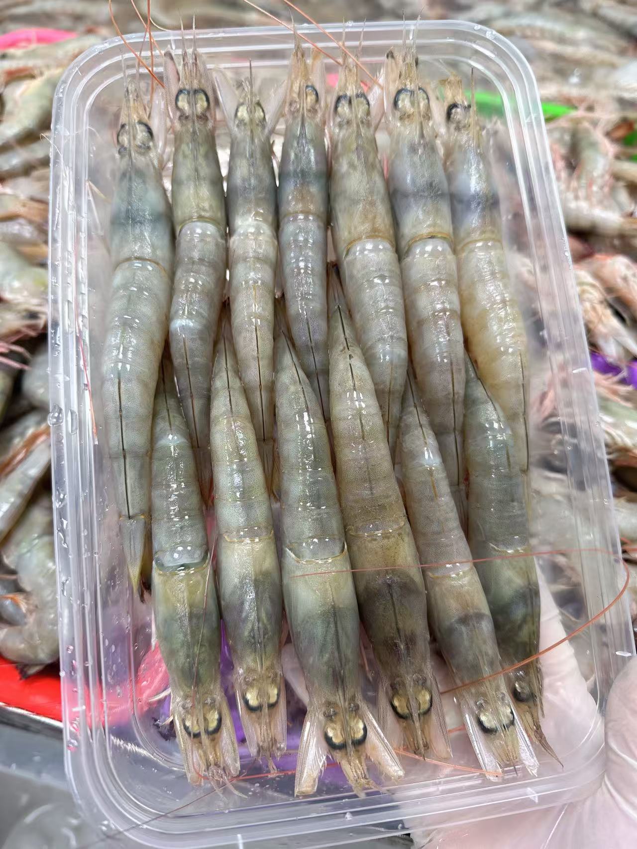野生海卢虾 部分带膏 顺丰冷链包邮