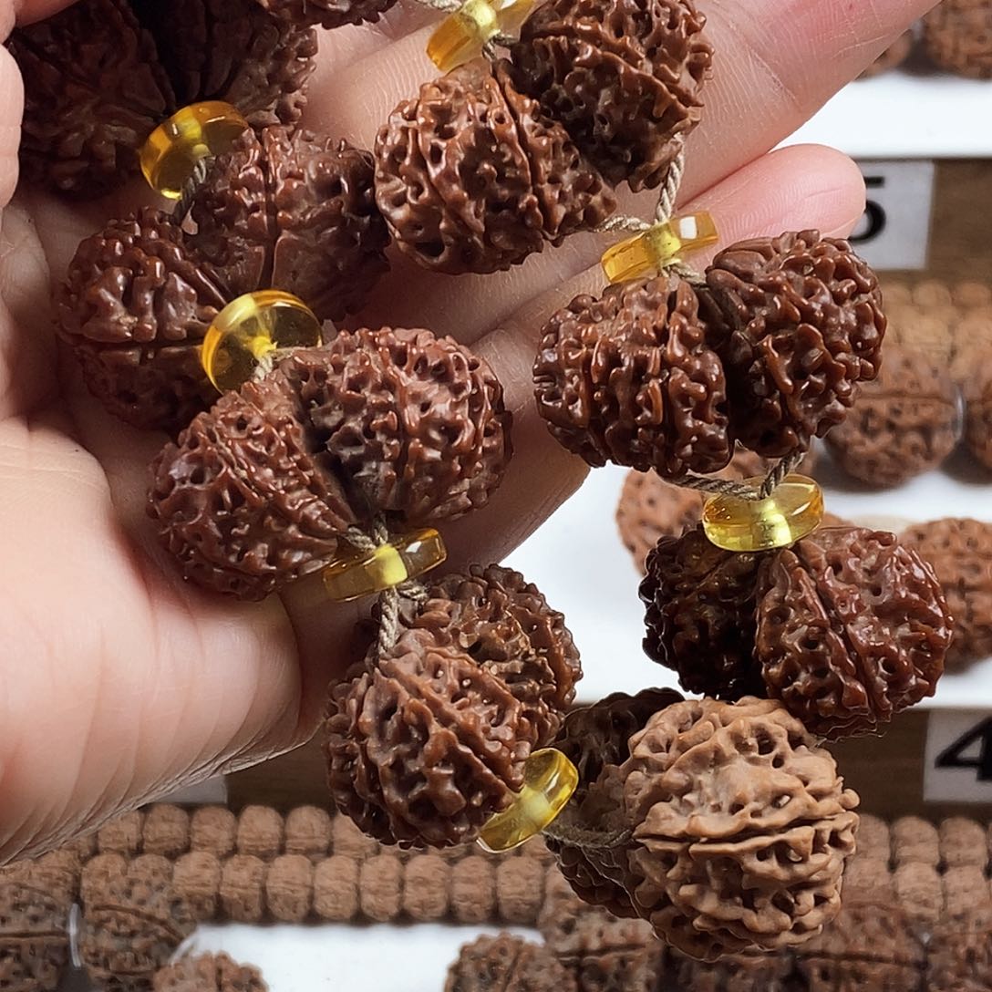 金刚菩提手串原生态双胞胎精品大高货