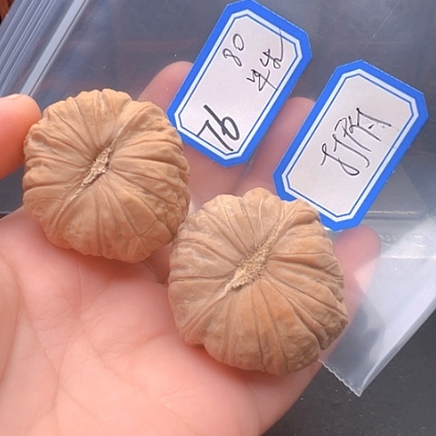 文玩核桃吊坠半*南瓜