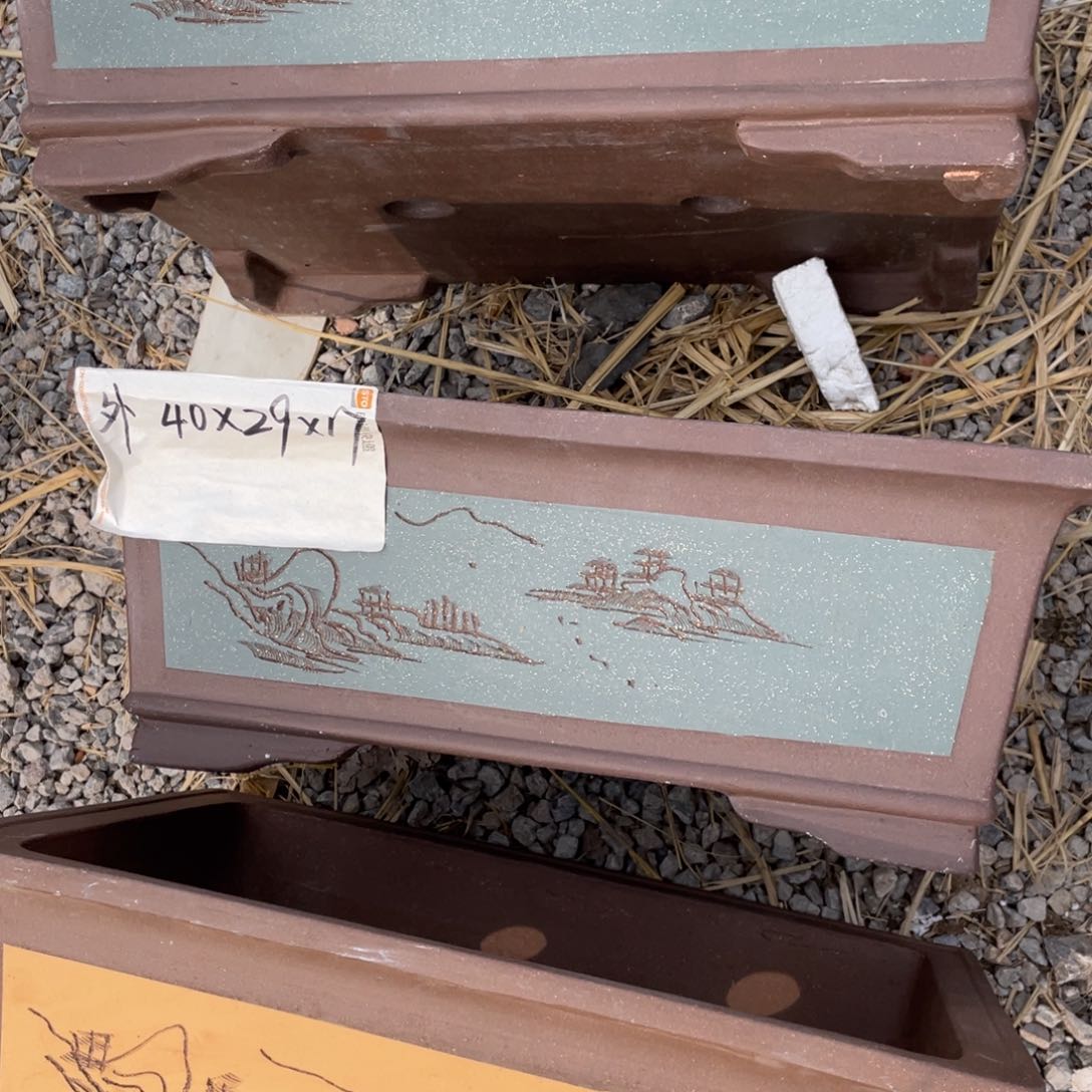 紫砂利40cm 青色 一只