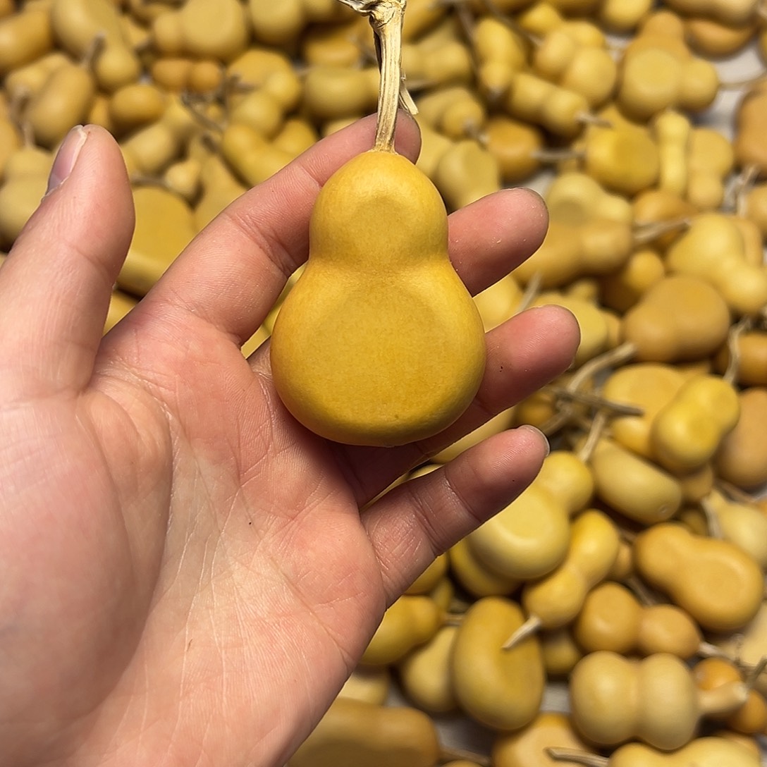 夹扁葫芦不退不换14