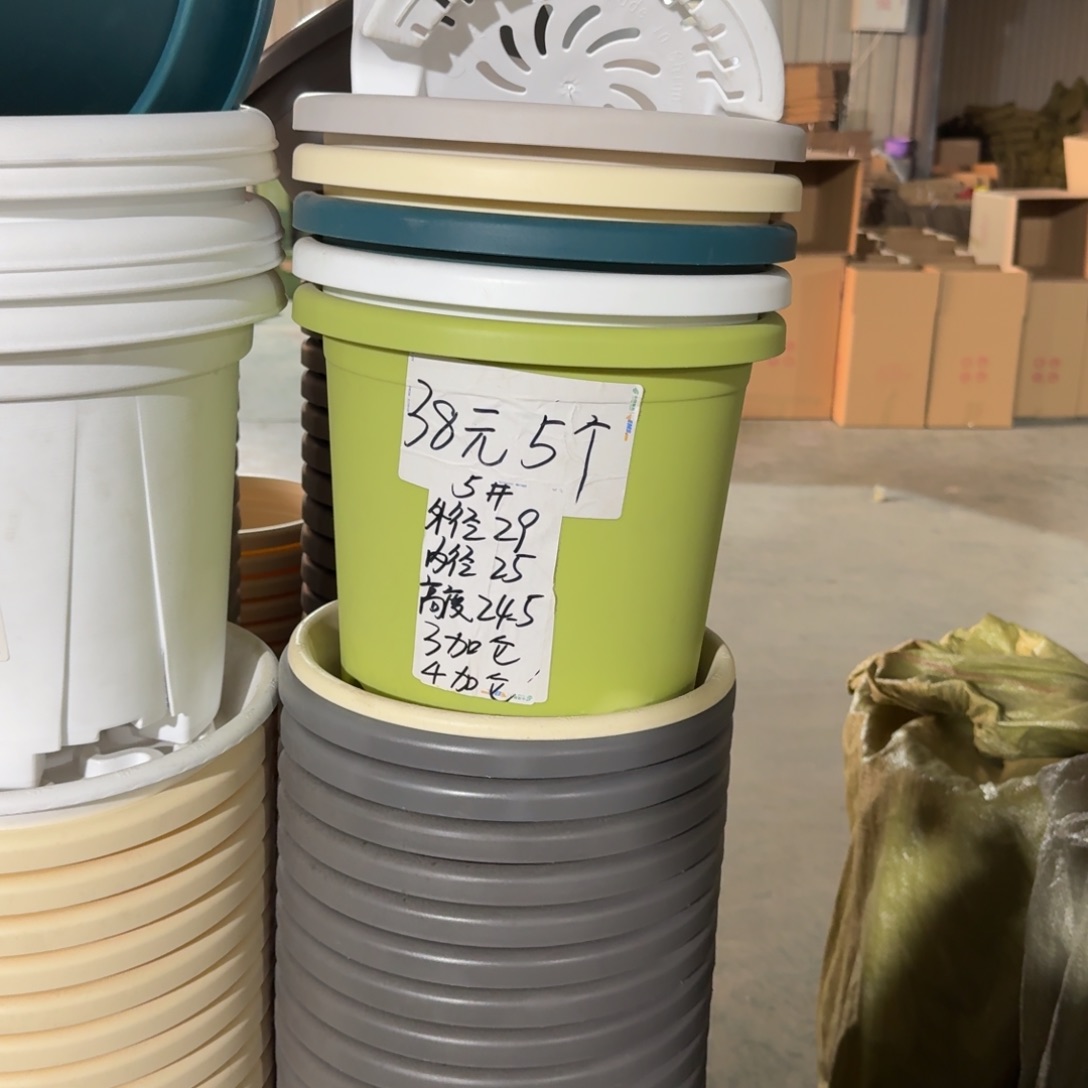 四季5#口径29无拖果绿10个