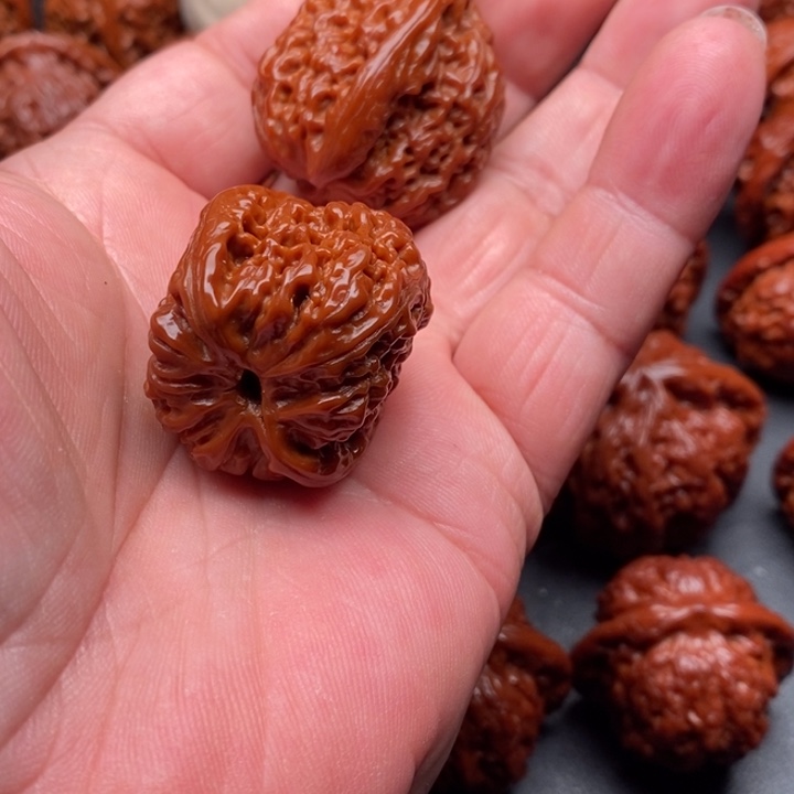 核桃想***歌南疆石狮子头