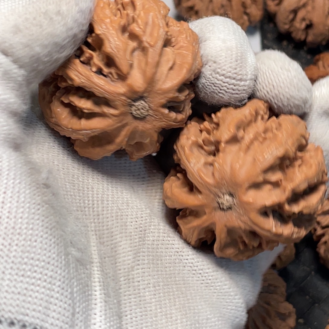 掌***王桃核吊坠8 秦岭灯笼野生小众