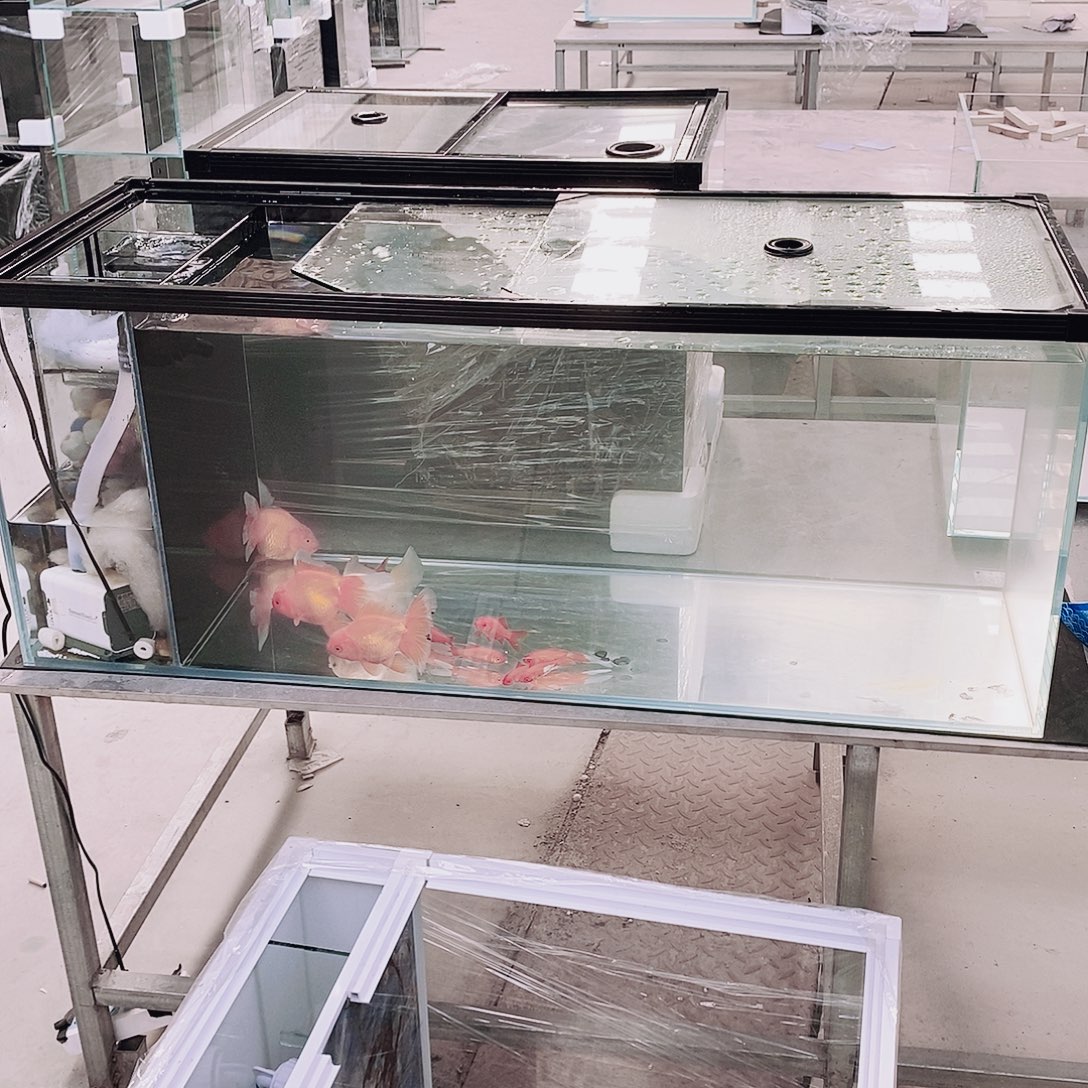 子***木玻璃109.5长40宽40高侧滤10毫米全套