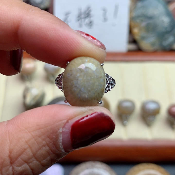 硅化珊瑚（珊瑚玉）颈饰未镶嵌