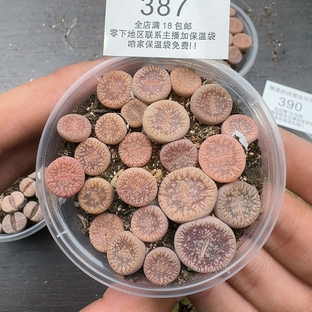 387满18包邮保温袋联系客服