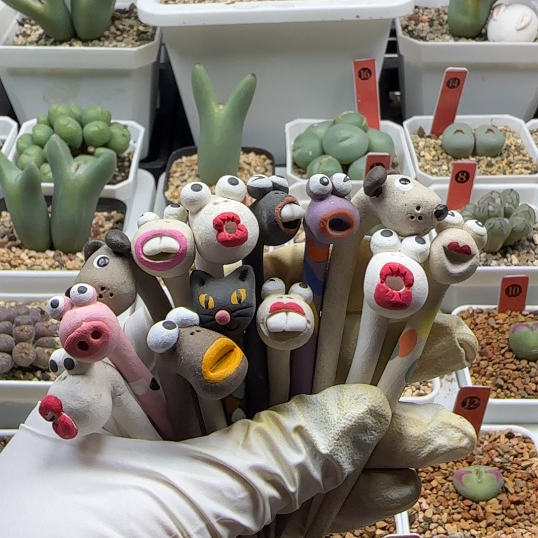 x***g12-13-当天满38包邮韩国小蛇花插12送一