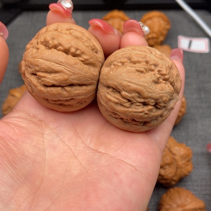 文玩核桃把件霸王龙的40