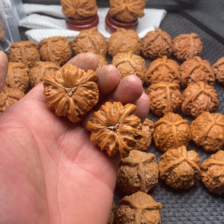 核桃把件L**s拼接白狮子6