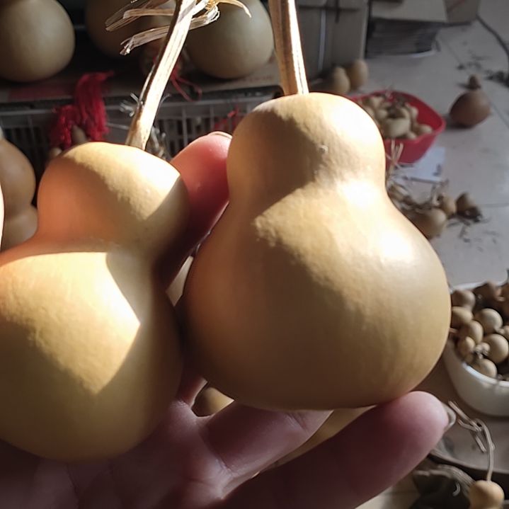 小***z天然葫芦，两个瓶子葫芦