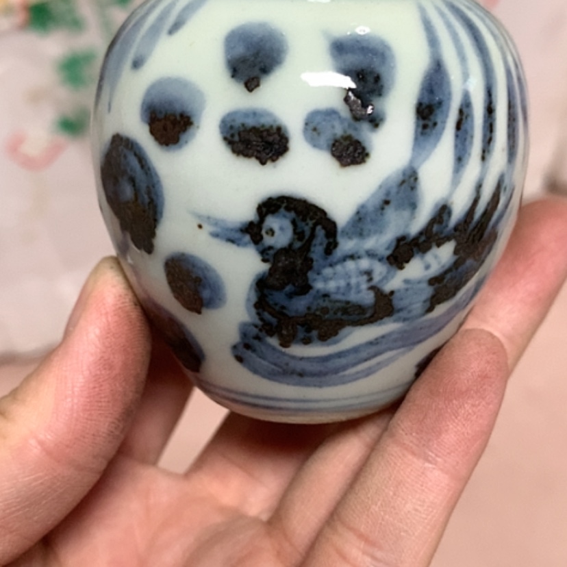 【闪购商品】青瓷明*皓