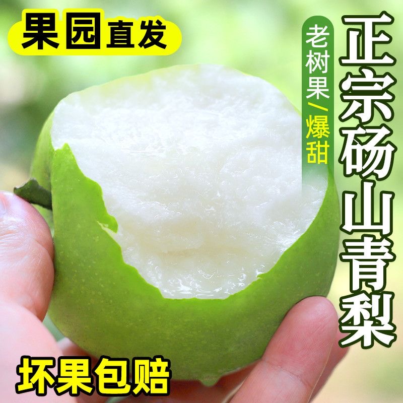 新鲜砀山青梨蜜梨皇冠梨翠冠梨新鲜青梨子水果梨子