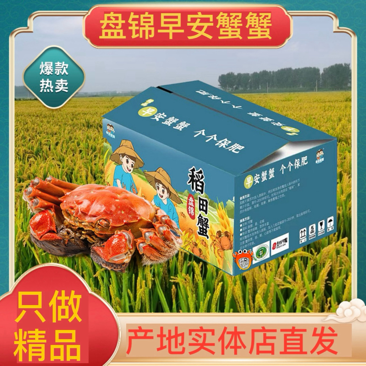 【活蟹】盘锦河蟹母蟹1.8-1.6两11只左右2斤鲜活发货产地直发