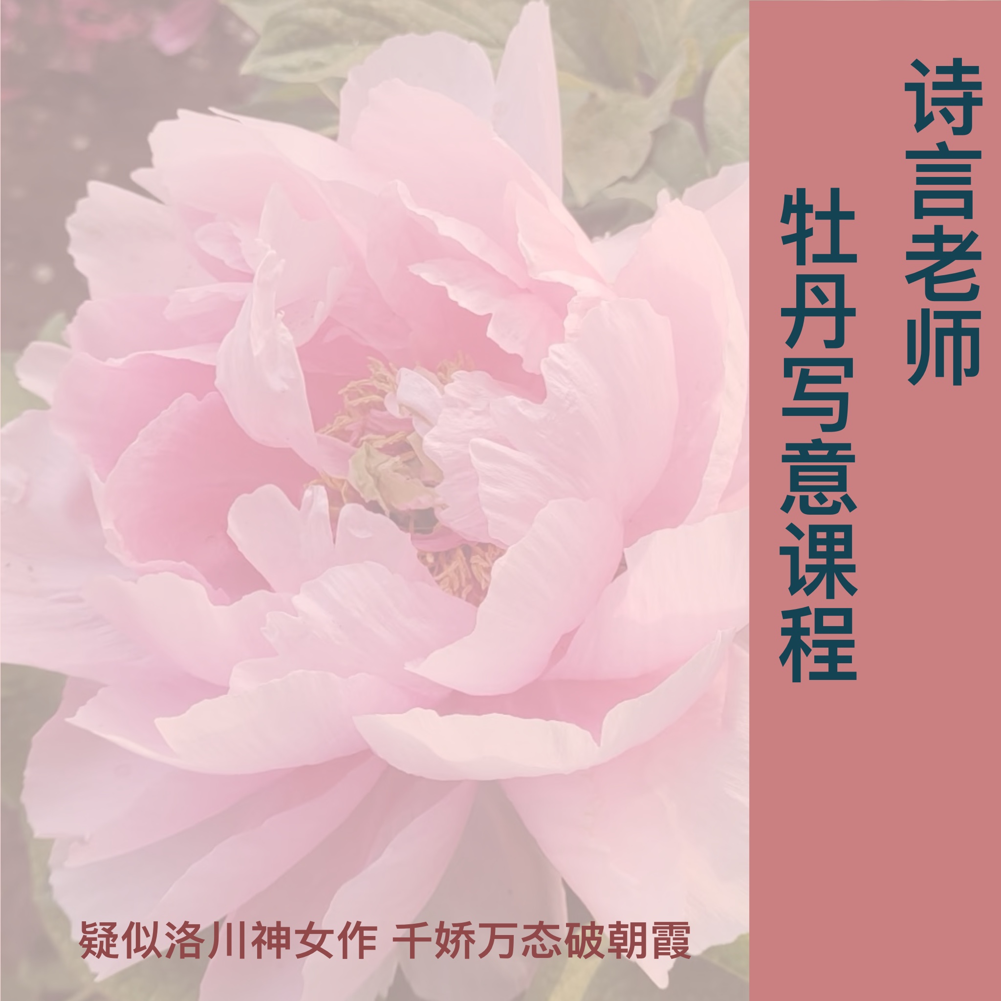 诗言老师牡丹写意课程