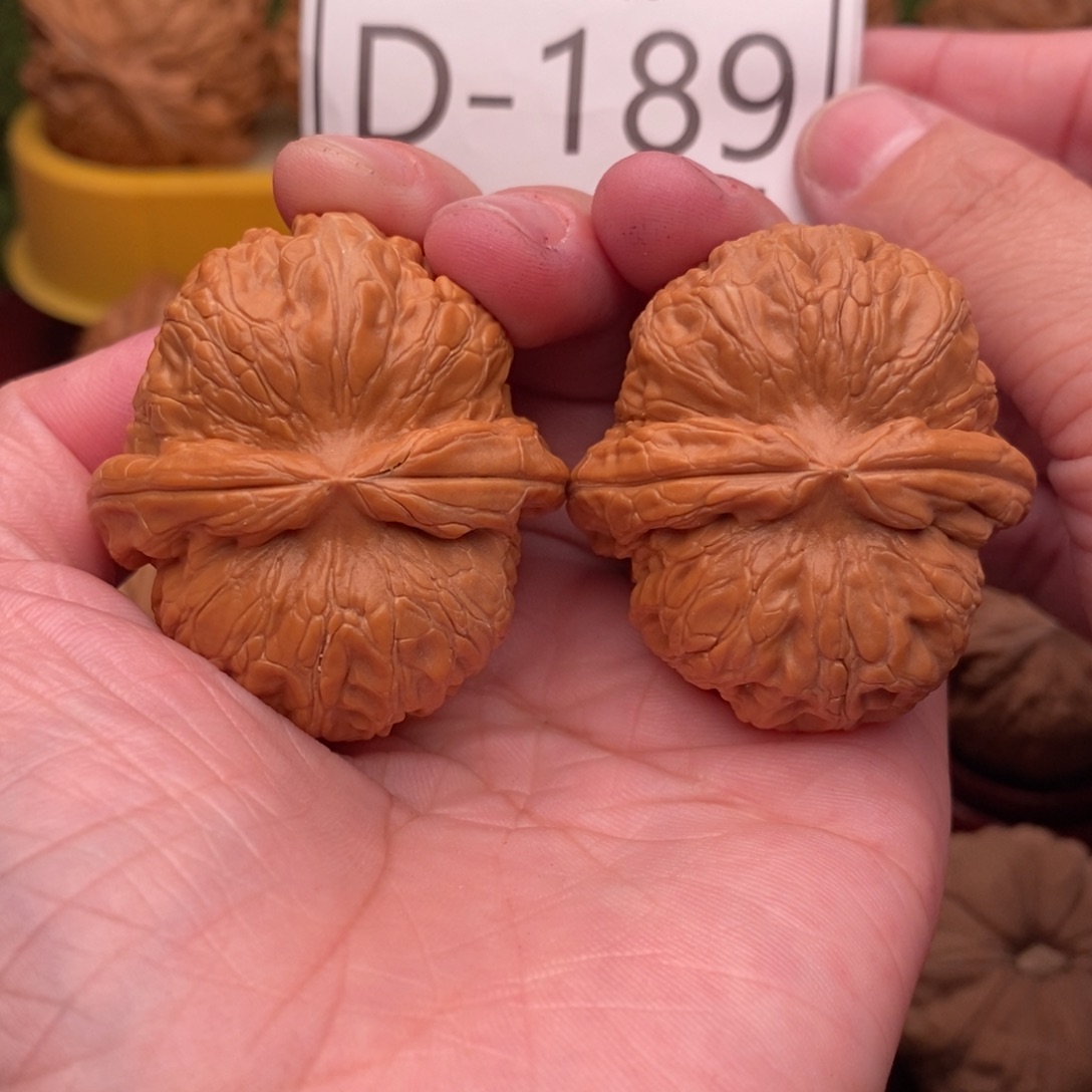 文玩核桃把件元宝42