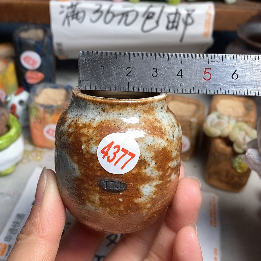 红陶拍5送一个小