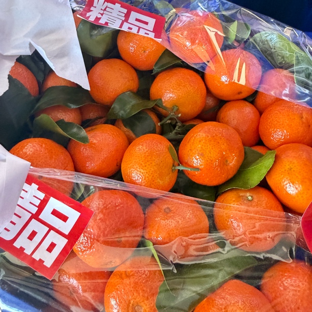 广西砂糖橘 约3斤 软嫩细腻 皮薄肉厚 包邮 现货现发