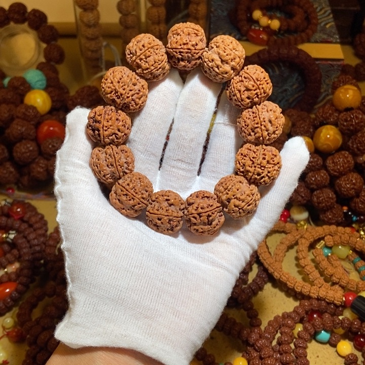 吊坠金刚菩提226原籽树王