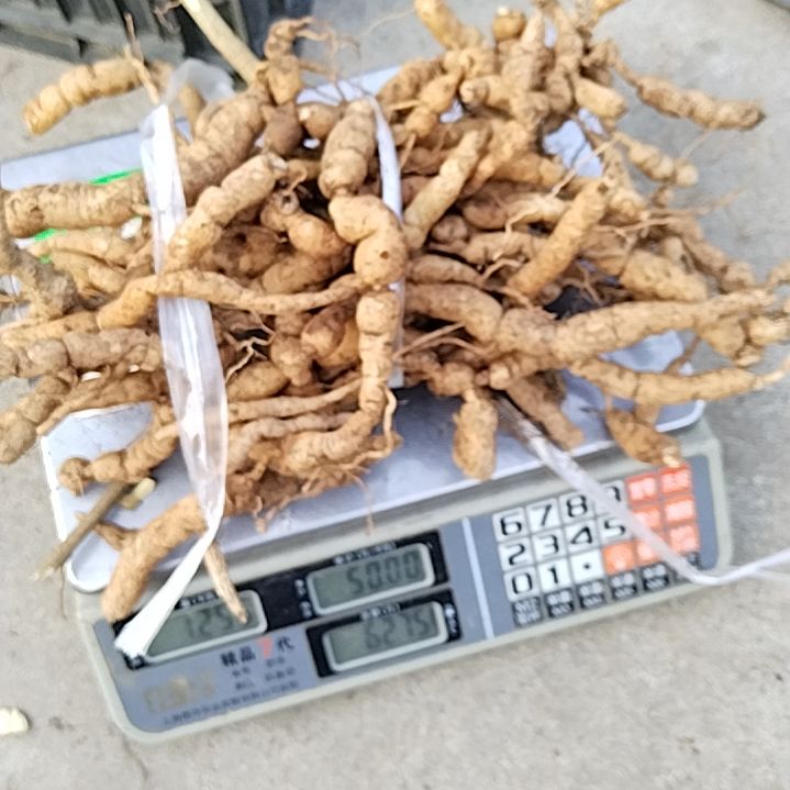 青榄贵州山采巴条1225克