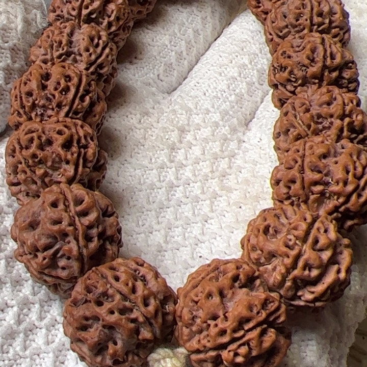 金刚菩提手串20安娜梅花双龙