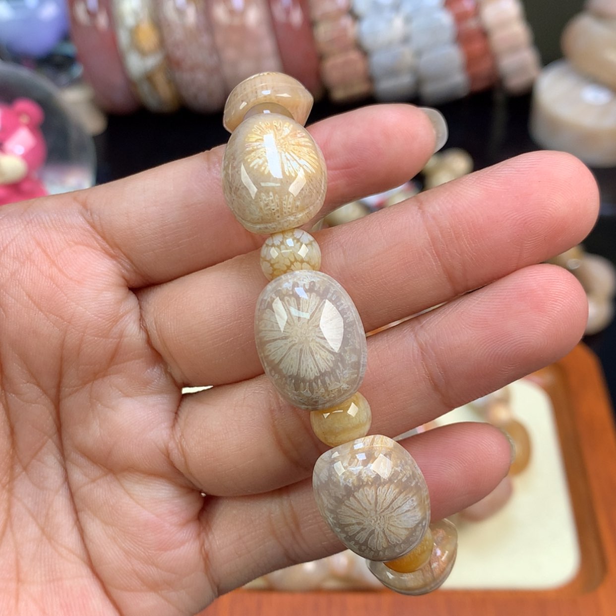 【闪购商品】颈饰未镶嵌硅化珊瑚（珊瑚玉）24号大花龟背