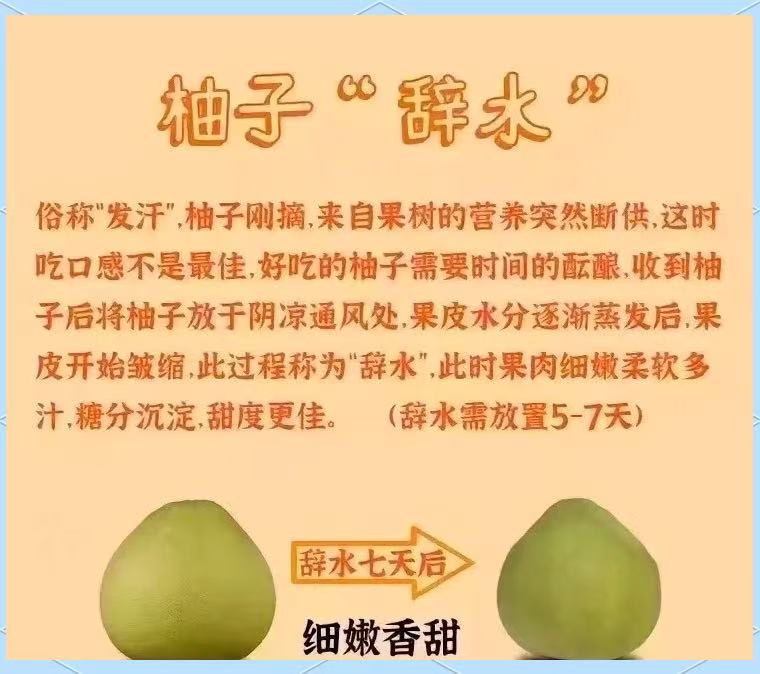 柚见秋光，心甜如初当季新鲜水果