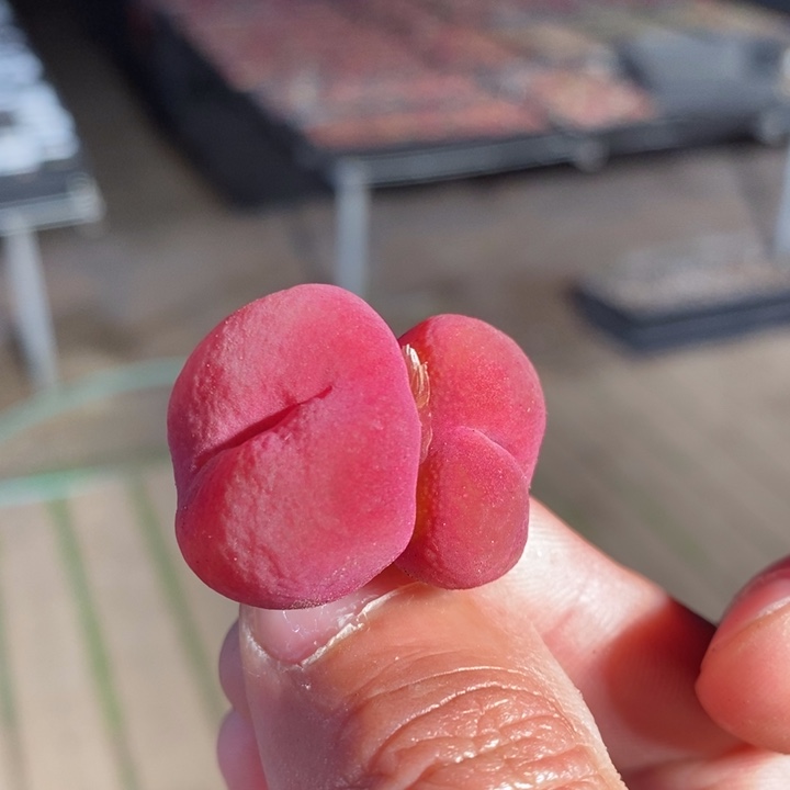 7129一个一个一个