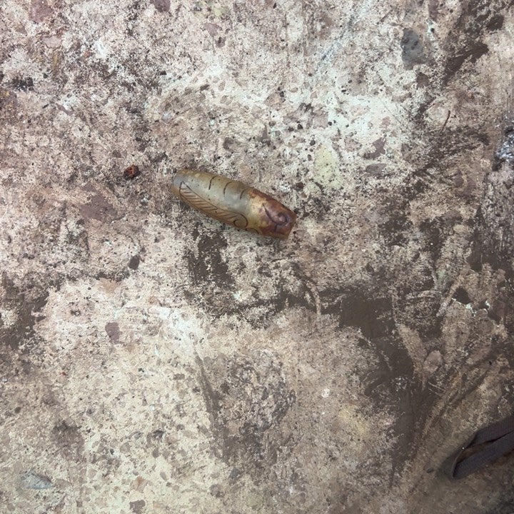 和田玉（黄玉）未镶嵌挂件