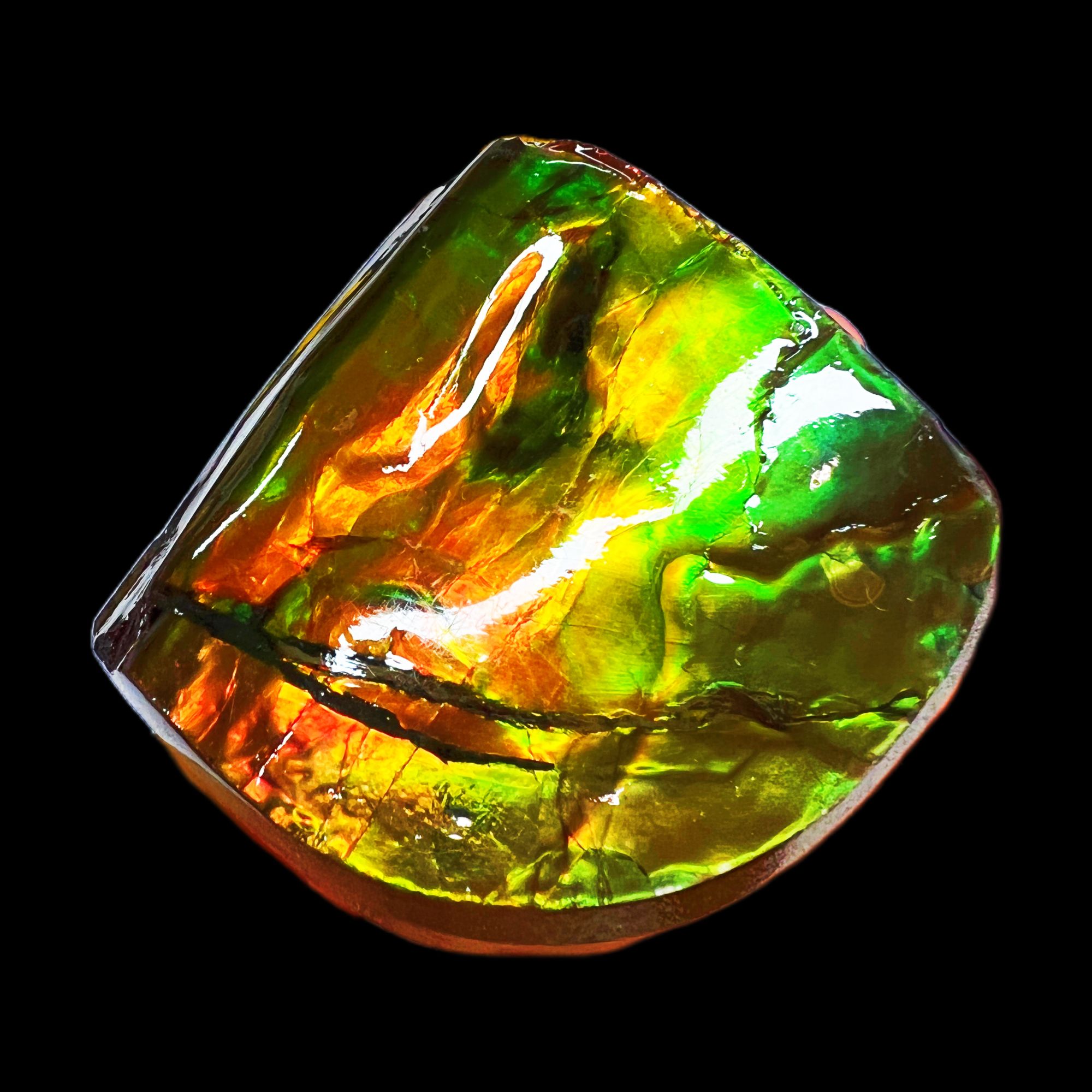 【斑彩】55.7mm 加拿大原石   N-12 贝壳摆件 D68