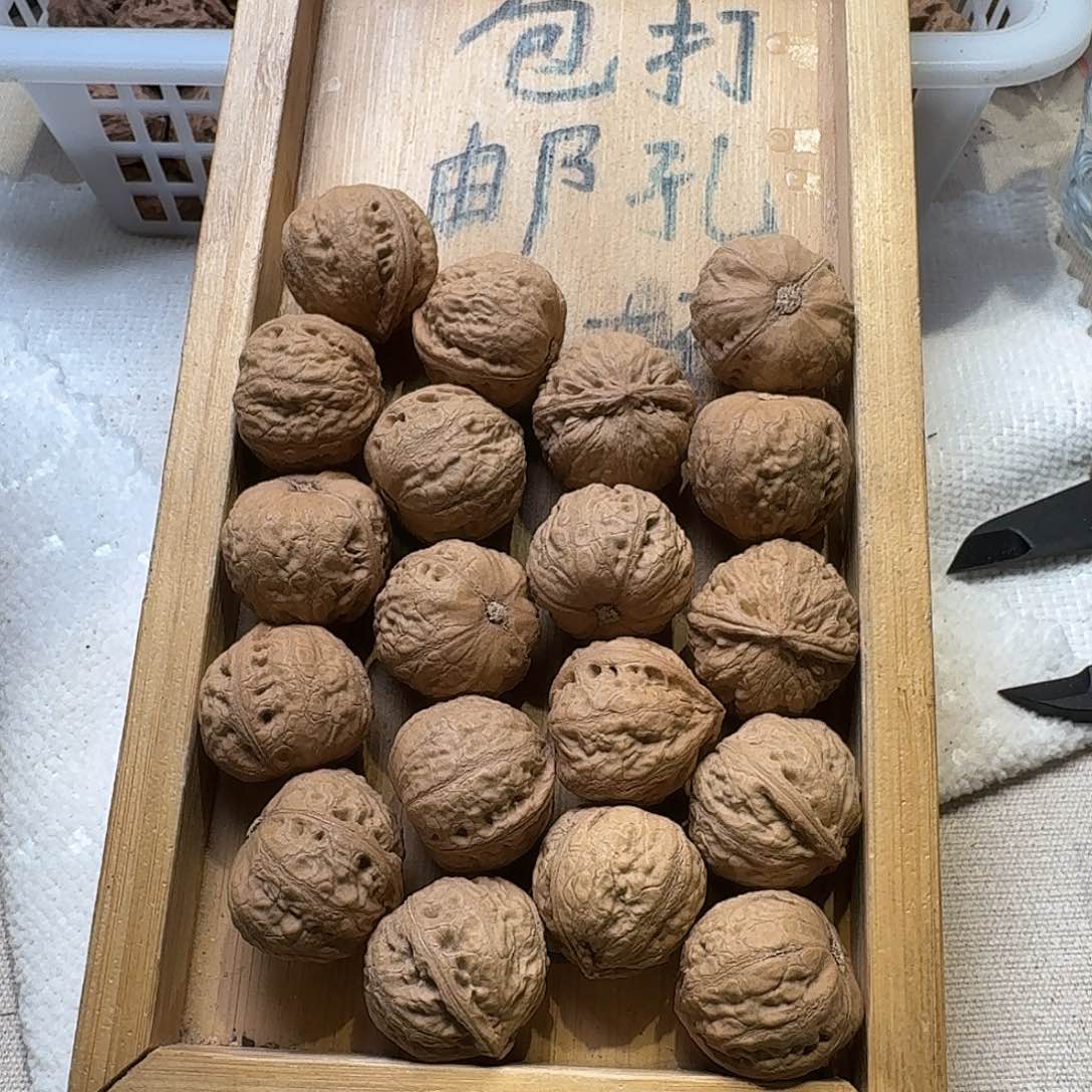 核桃手串/手链32号边24手持