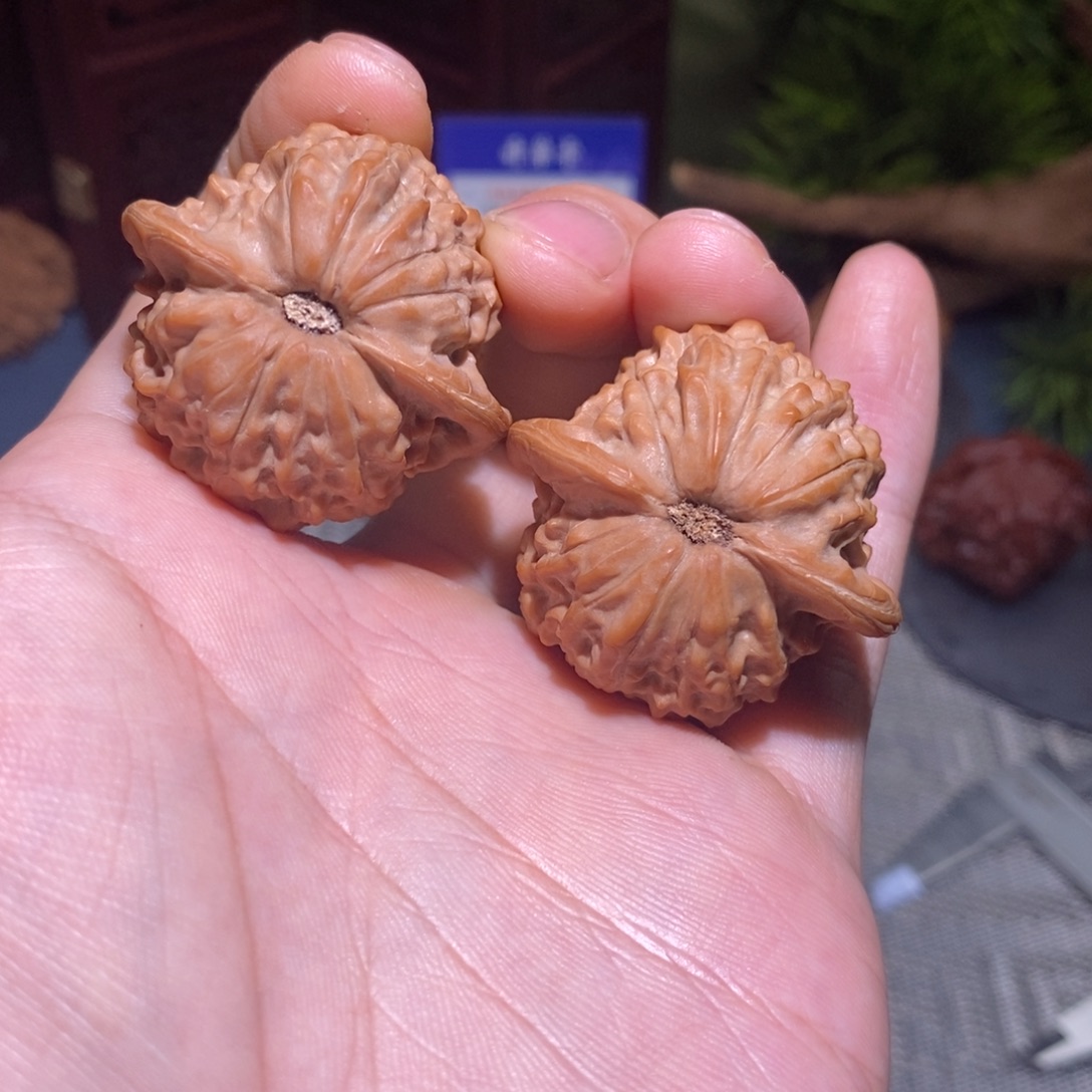 39尺 全品无修白茬 25头茬 七步沟