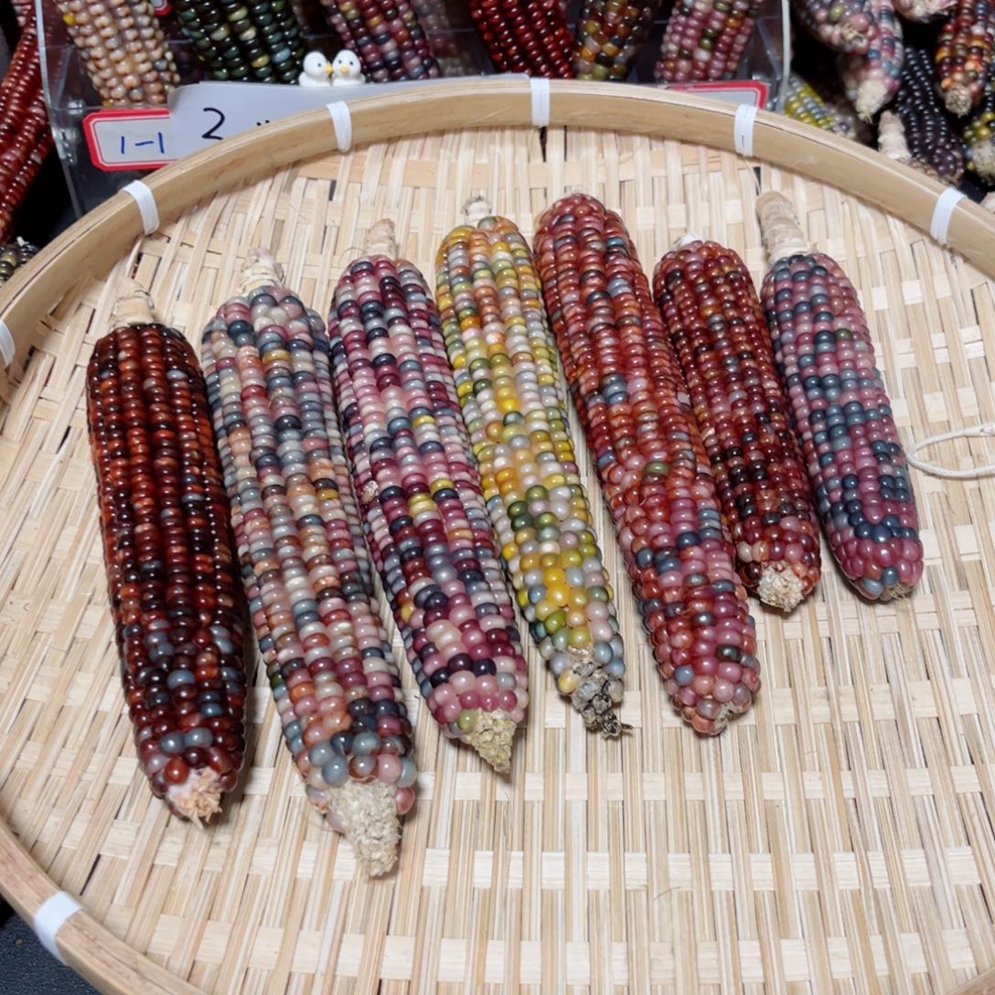 桔***子直播间七彩文玩玉米不退换